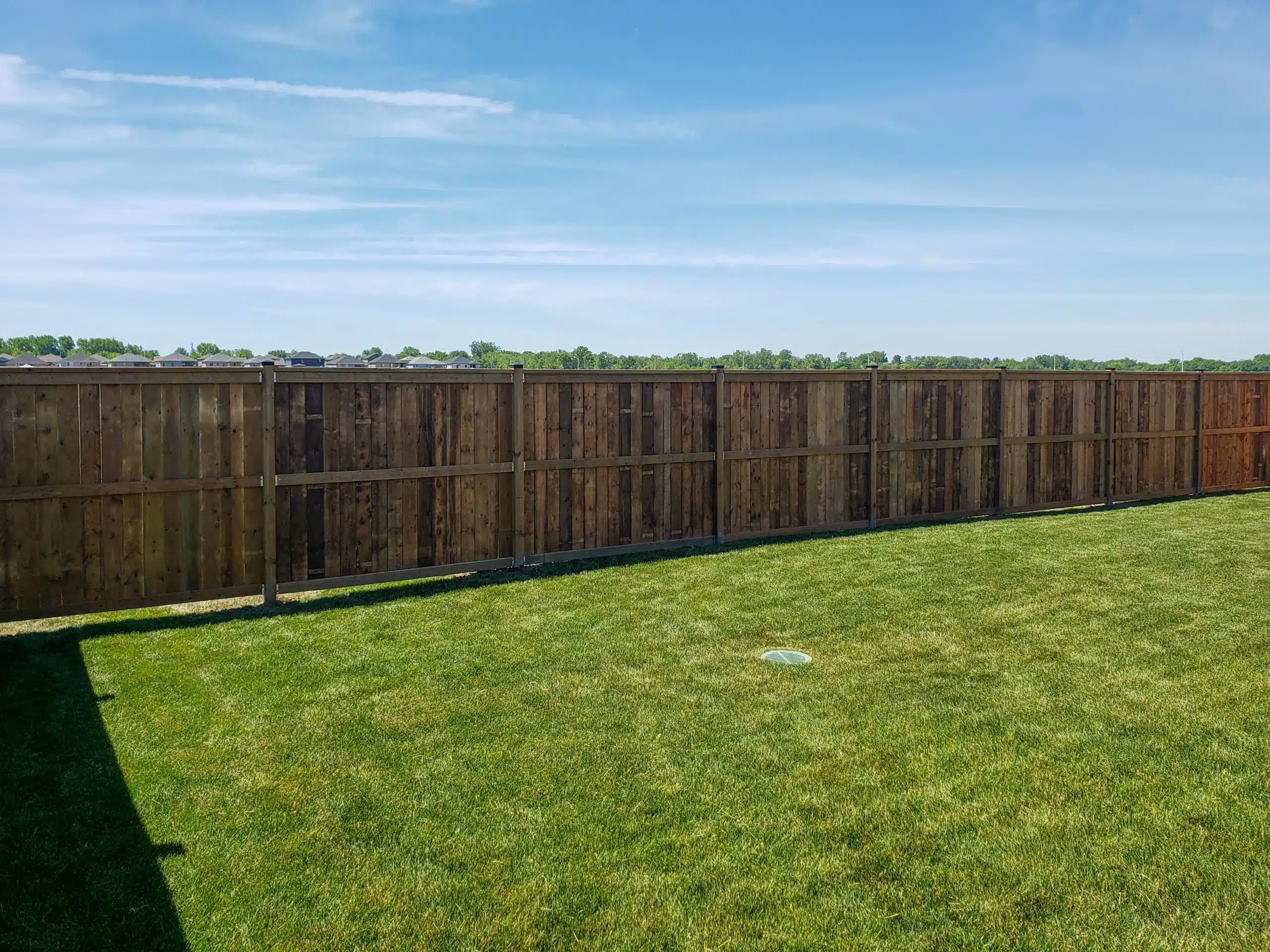 Backyard with green grass enclosed by a tall wooden privacy fence, with open sky and distant trees visible in the background.